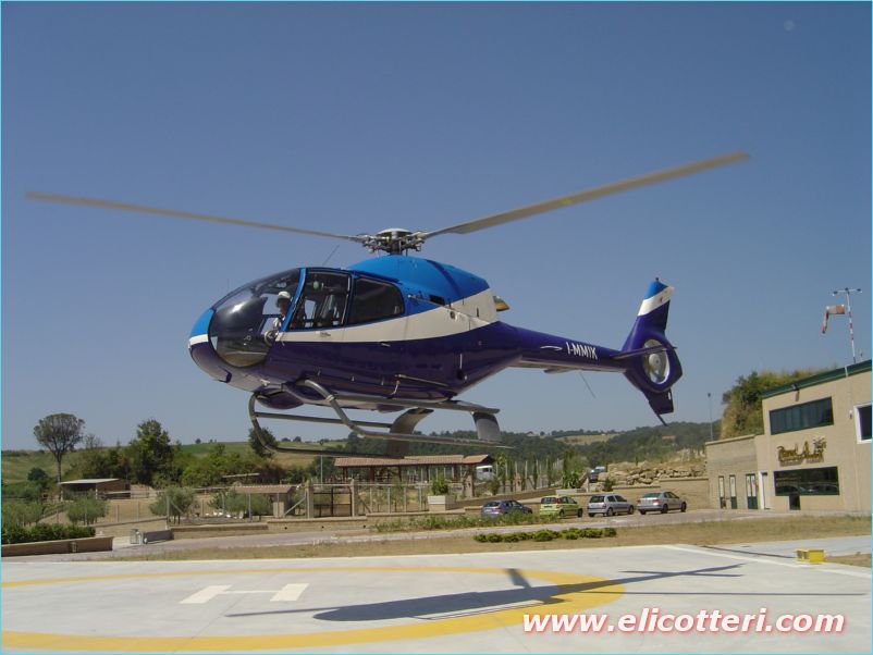 elifoto (60)